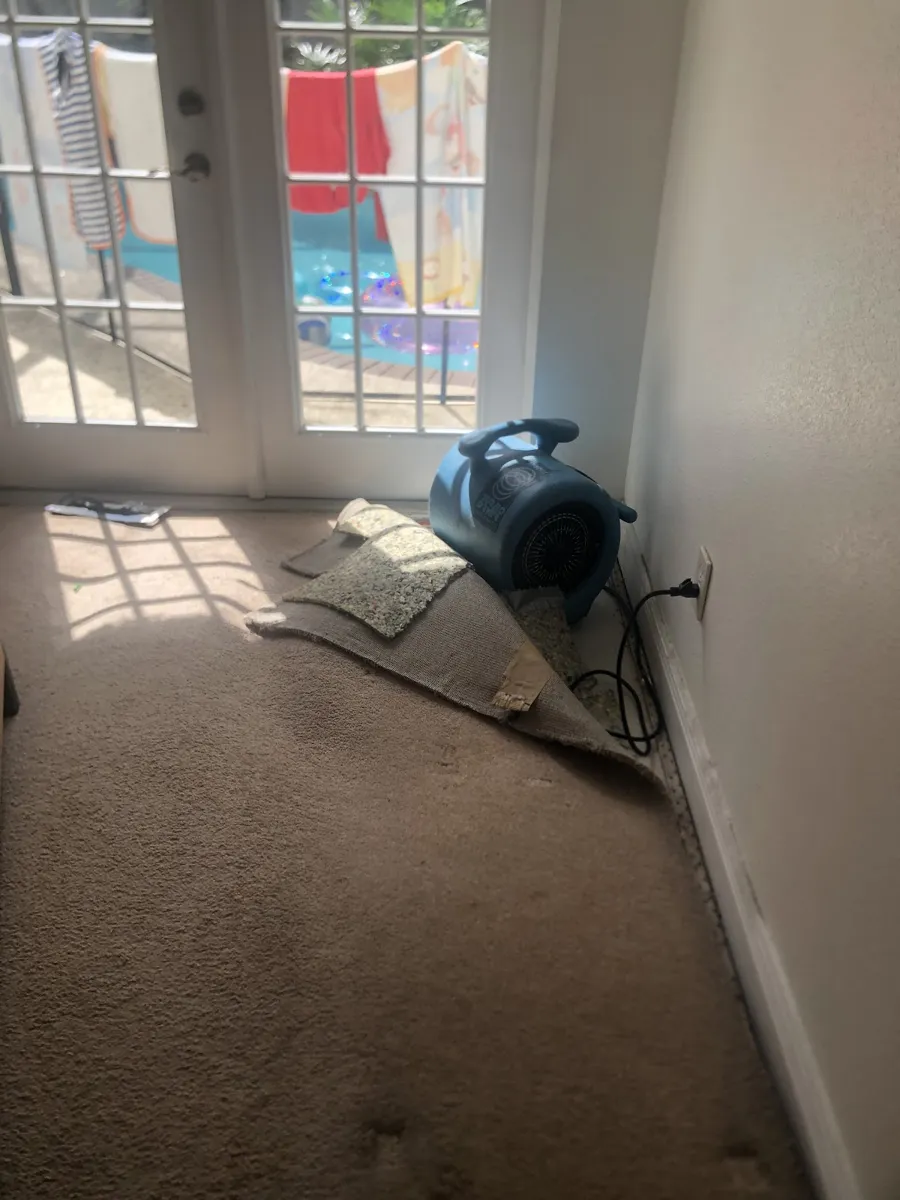 Air mover drying wet carpet beside a patio door