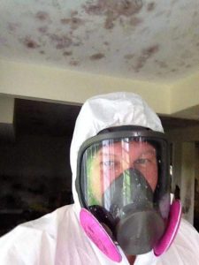 Mold Removal Companies Hudson