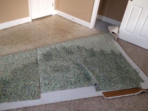 Carpet Drying